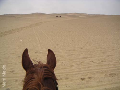 c_537_desertride