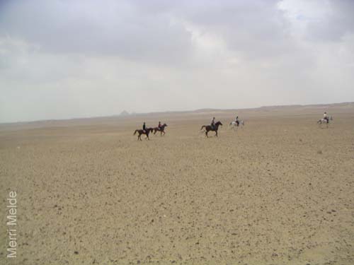 c_539_desertride