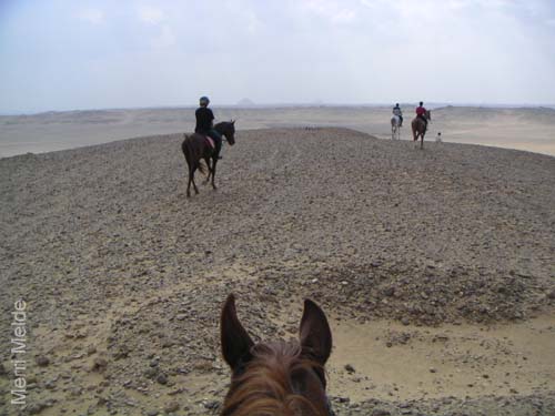 c_540_desertride