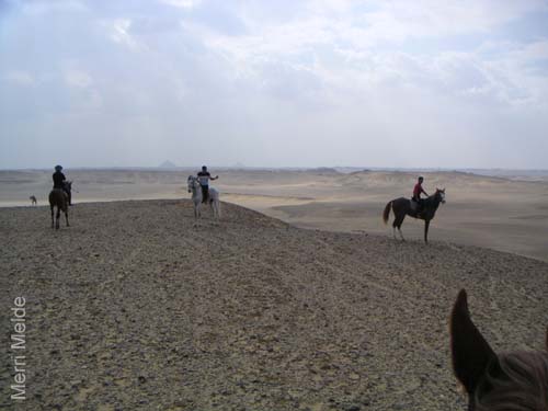 c_541_desertride