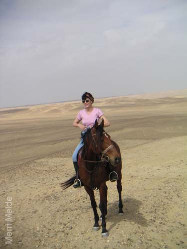 c_549_Christina