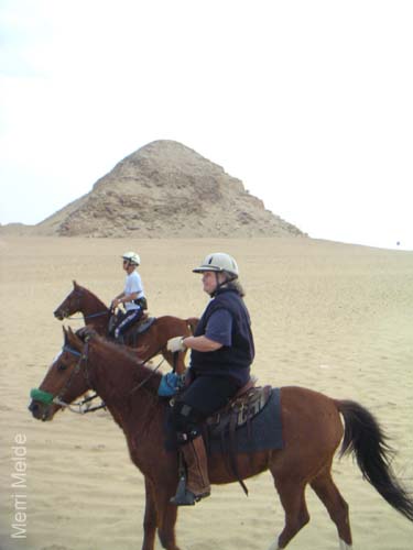 c_581_JackieMA