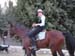 6_266_Hortense