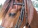 8_326_Stallion