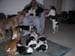 8_346Dogpile