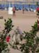 9_364_Sharm
