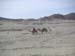 a_400_Sinai