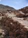 a_425_MtSTrail