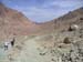 a_434_MtSTrail
