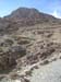 a_439_MtSTrail