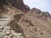a_446_MtSTrail
