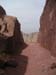 a_450_MtSTrail
