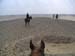 c_540_desertride