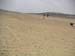 c_555_desertride