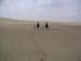 c_556_desertride