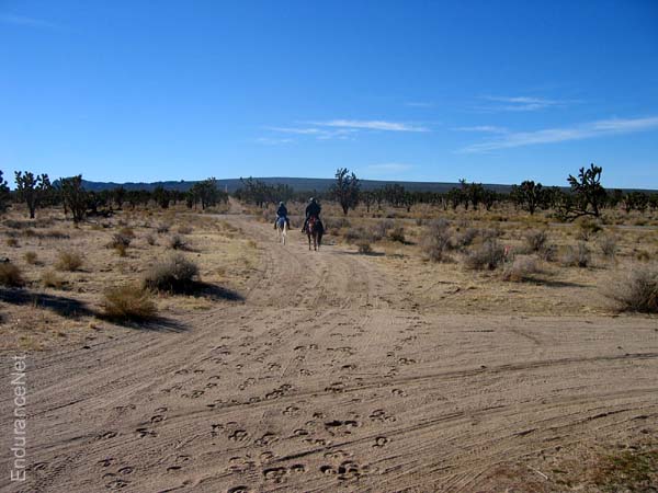 IMG_3501