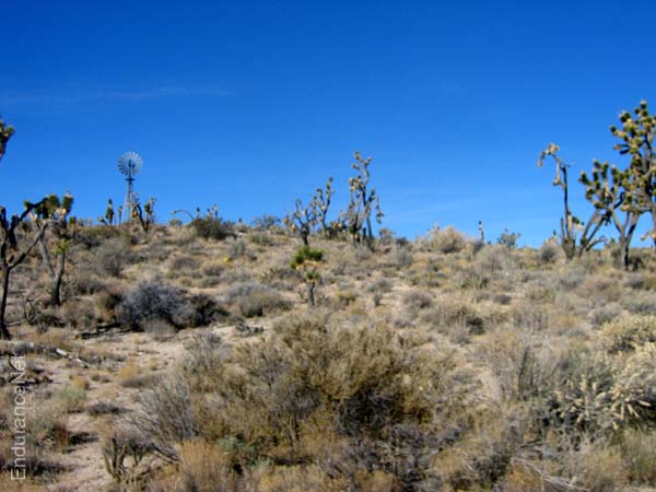IMG_3514