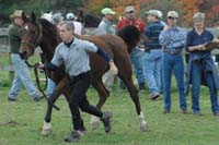 Stagg-Newman_120_100-PreRideVC_(DSC_0699)_4x6