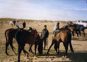 2007 Fire Mountain