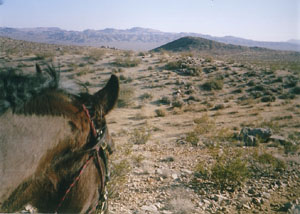 2007 Fire Mountain
