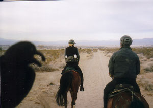 2007 Fire Mountain