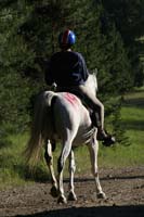 rides/2008BanditSprings/gallery/02Sat/thumbnails/0807BS_059.jpg