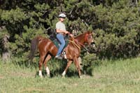 rides/2008BanditSprings/gallery/02Sat/thumbnails/0807BS_063.jpg