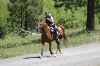 rides/2008BanditSprings/gallery/05Sat/thumbnails/0807BS_201.jpg