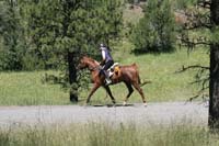 rides/2008BanditSprings/gallery/05Sat/thumbnails/0807BS_202.jpg