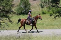 rides/2008BanditSprings/gallery/05Sat/thumbnails/0807BS_209.jpg