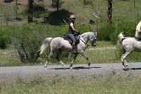 rides/2008BanditSprings/gallery/05Sat/thumbnails/0807BS_212.jpg