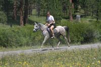 rides/2008BanditSprings/gallery/05Sat/thumbnails/0807BS_216.jpg