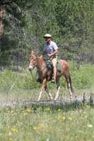 rides/2008BanditSprings/gallery/05Sat/thumbnails/0807BS_221.jpg