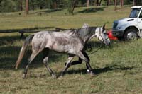 rides/2008BanditSprings/gallery/05Sat/thumbnails/0807BS_238.jpg
