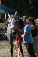 rides/2008BanditSprings/gallery/05Sat/thumbnails/0807BS_239.jpg