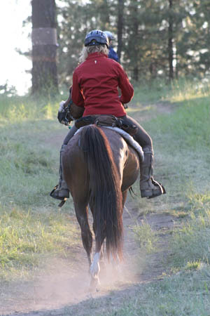 rides/2008BanditSprings/gallery/06Sat/rotator/0807BS_276.jpg