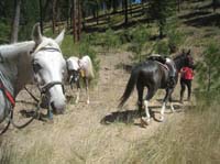 rides/2008OldSelam/gallery/merri/thumbnails/IMG_3921.jpg