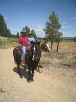 rides/2008OldSelam/gallery/merri/thumbnails/IMG_3975.jpg
