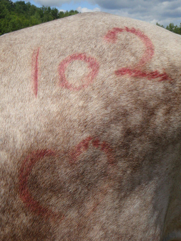P7190286