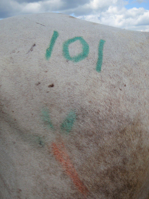 P7190287