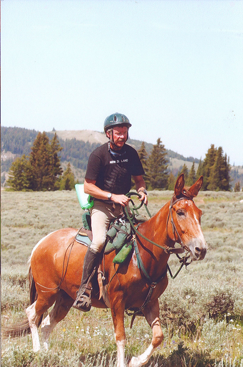 Bighorn 100-1