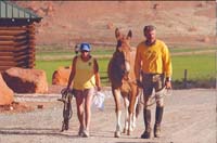 Bighorn 100 Finish