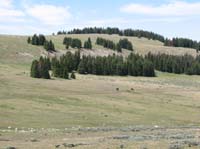 IMG_5665
