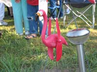 IMG_5701