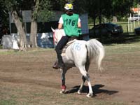 IMG_0126
