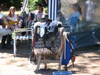 IMG_0419