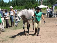 IMG_0441