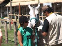 IMG_0449
