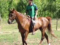 IMG_0494