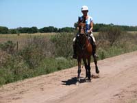 IMG_0327 (1)